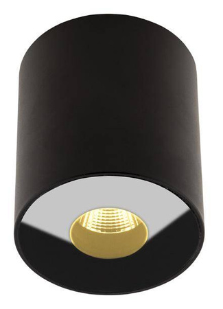 Oprawa sufitowa PLAZMA IP54 (C0151) - MAXlight, nowoczesne oświetlenie do każdego wnętrza!