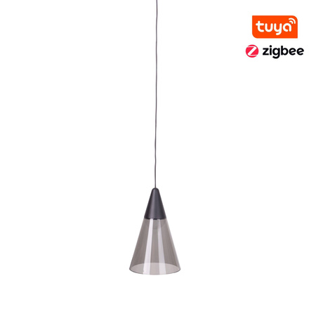 MAXlight M0015Z - Lampa wisząca magnetyczna Zigbee 6W 187LM, 2700/5000K – nowoczesne oświetlenie w Twoim domu!